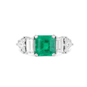 Enchanted Emerald Reverie Catherine Best