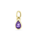Amethyst Charm Catherine Best