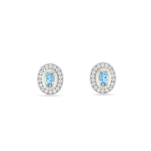 Hold on Tight Diamond and Aquamarine Earrings Catherine Best