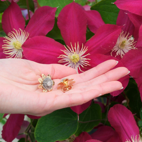 Clematis Empress Stud Earrings Catherine Best Dev