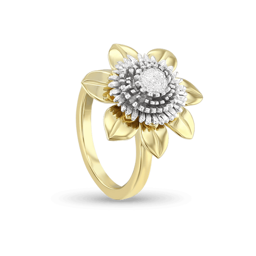 Clematis Empress Ring Catherine Best Dev