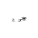 Shine a Light Earrings Catherine Best Dev Platinum 3.5mm