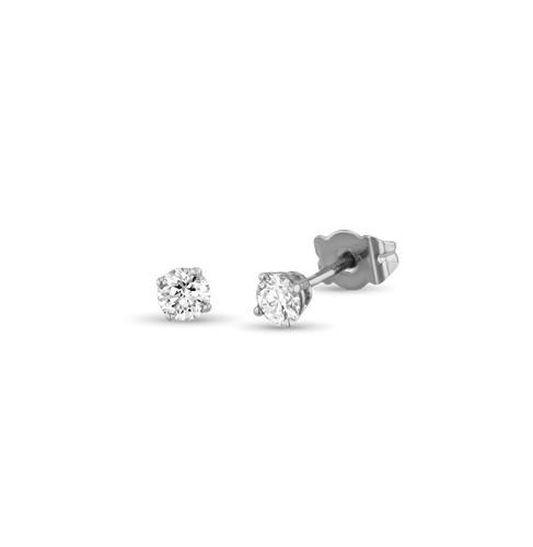 Shine a Light Earrings Catherine Best Dev Platinum 4mm