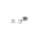 Shine a Light Earrings Catherine Best Dev Platinum 4mm