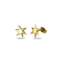 Star Earrings Catherine Best Dev 18ct Yellow Gold