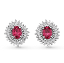 Rosa Earrings Catherine Best Dev