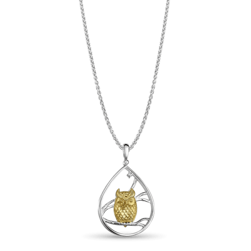 The Wise One Pendant Catherine Best Dev Silver and Gold Plate Pendant on a 18