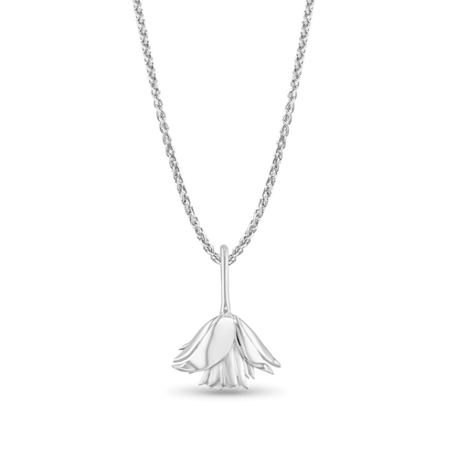 Clematis Bluebird Pendant Catherine Best Dev Silver Pendant on a 18