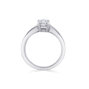 Shokunin Ring Catherine Best