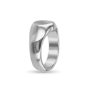 The Gentleman's Signet Ring in Silver or Gold Catherine Best Dev