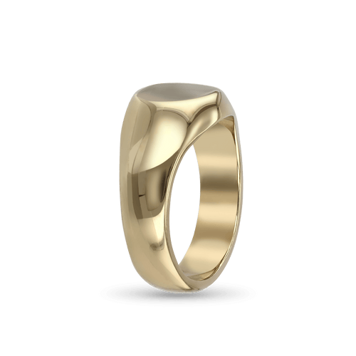 The Gentleman's Signet Ring in Silver or Gold Catherine Best Dev