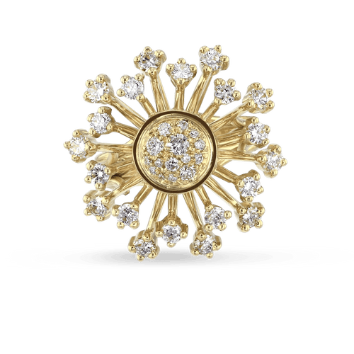 Stardust Ring Catherine Best Dev
