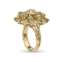 Stardust Ring Catherine Best Dev