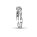 Perfection - Diamond Ring Catherine Best Dev