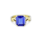 Kagera River Ring Catherine Best Dev