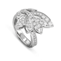 Flutterby Handmade Diamond Ring in Platinum Catherine Best Dev