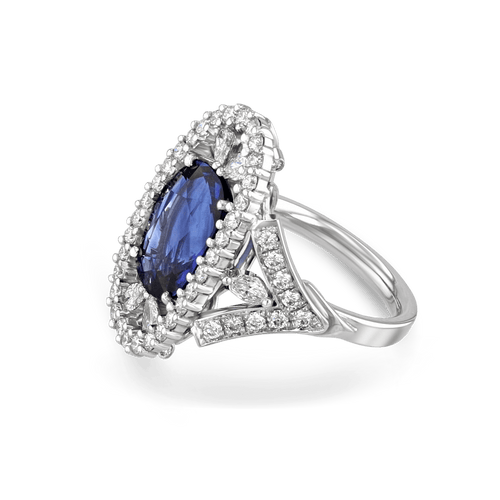 Midnight Dreams Ring Catherine Best Dev