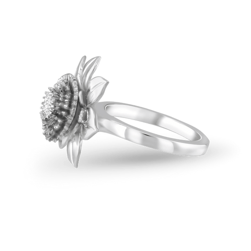 Clematis Empress Ring Catherine Best Dev