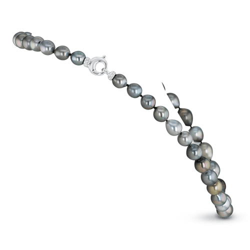 Tahitian Dream Necklace Catherine Best Dev
