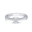 Shokunin Ring Catherine Best