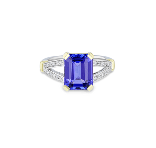 Paradise Ring Catherine Best Dev