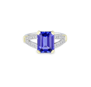 Paradise Ring Catherine Best Dev
