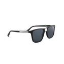CB Sunglasses Mens Catherine Best Silver 