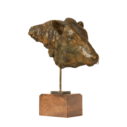 Bull's Head Sculpture Catherine Best Dev 