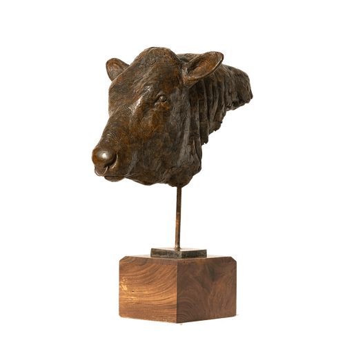 Bull's Head Sculpture Catherine Best Dev 