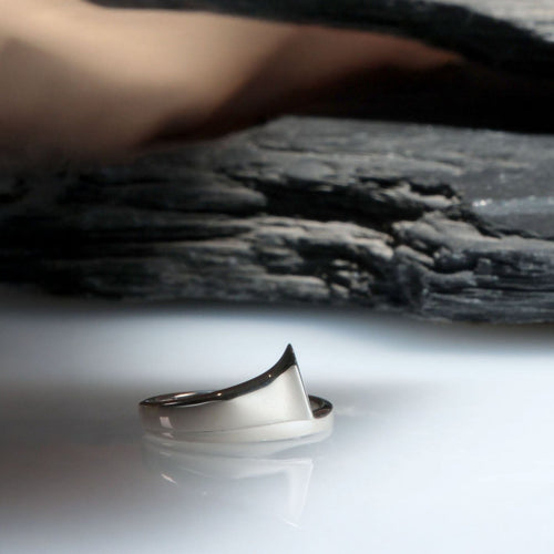 Nailed It Mens Ring Catherine Best 