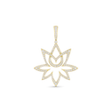 Diamond Hope