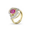 Spinning Top Ring