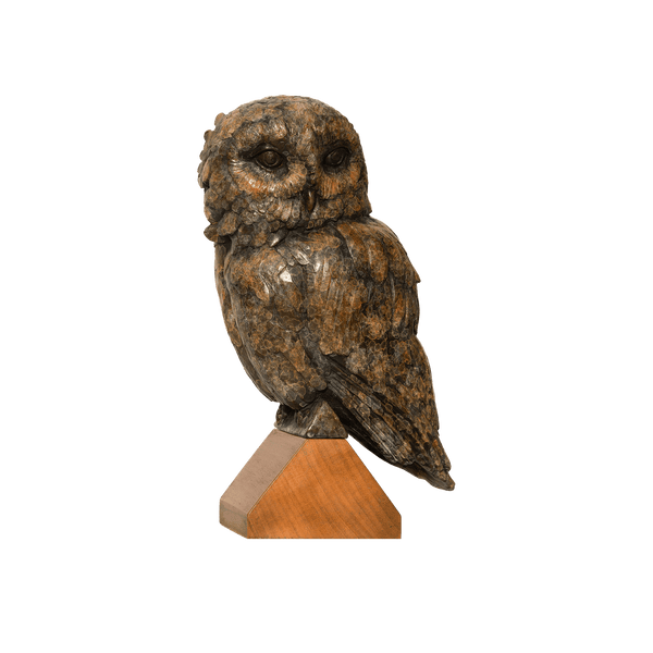 Tawny Owl Sculpture Catherine Best Dev 