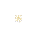 Fireworks Pin