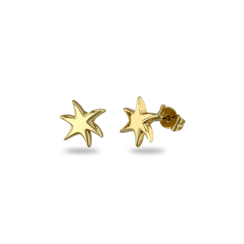 Star Earrings Catherine Best Dev 18ct Yellow Gold 