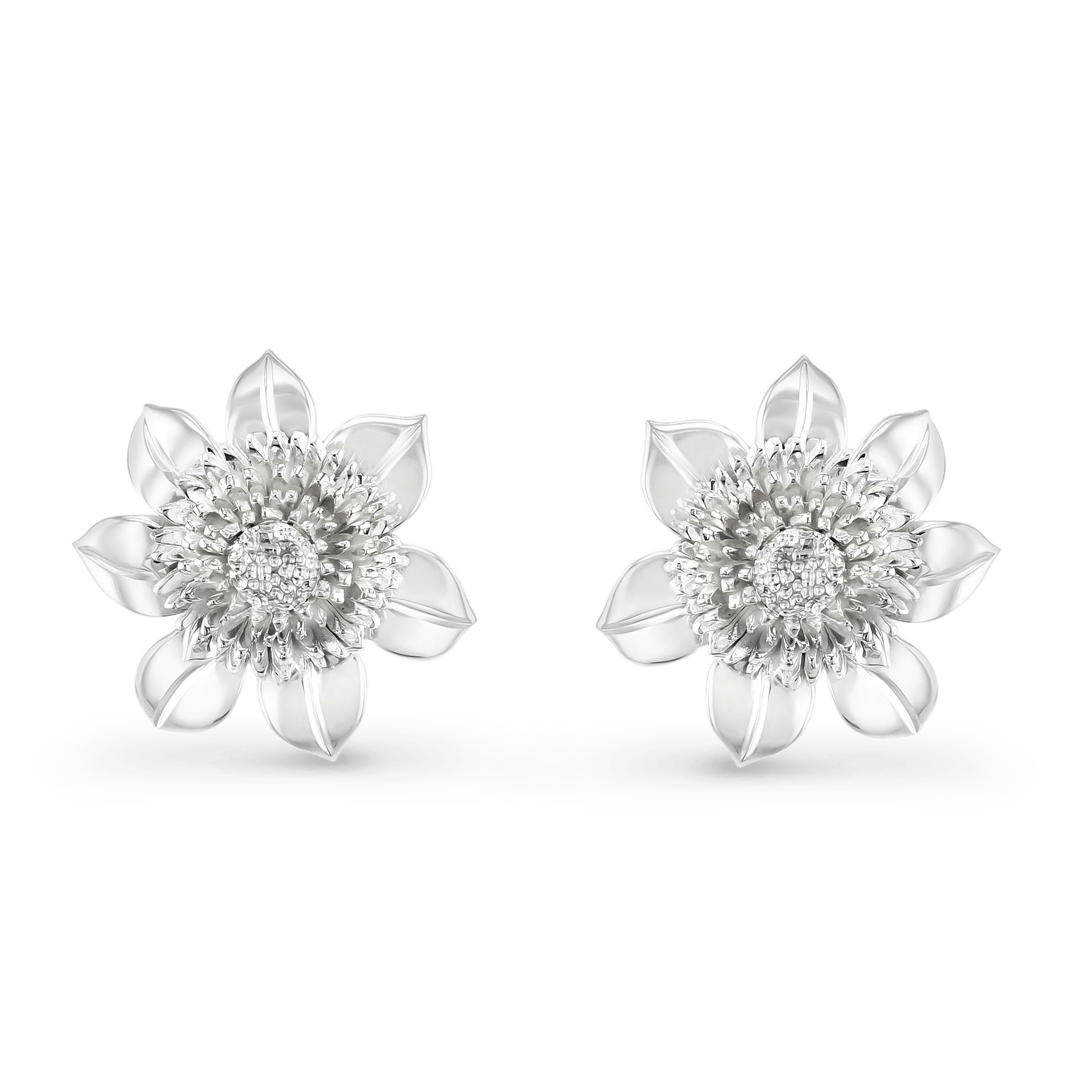 Clematis Empress Stud Earrings Catherine Best Dev Silver 