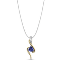 Lake Manyara Pendant Catherine Best Dev Pendant on a 18 chain 