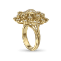 Stardust Ring Catherine Best Dev 